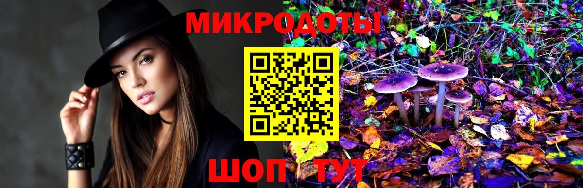 Псилоцибиновые грибы прущие грибы Обь