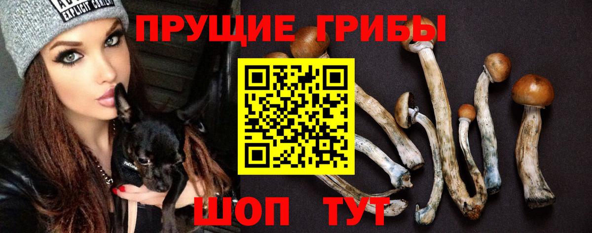 Обь  Галлюциногенные грибы ЛСД  Галлюциногенные грибы Psilocybe  Вход с VPN 